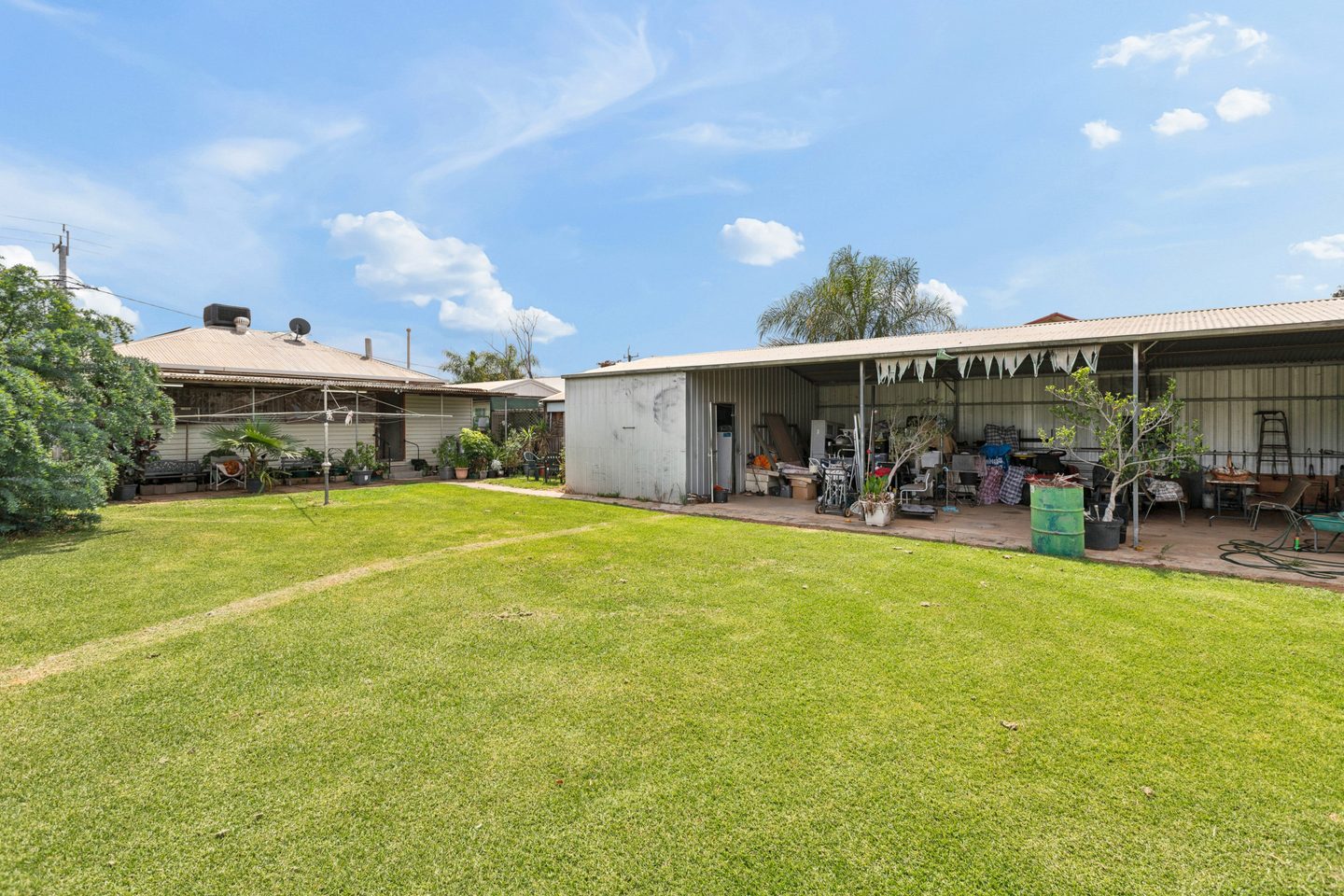 Back lawn, shedding and covered outdoor area