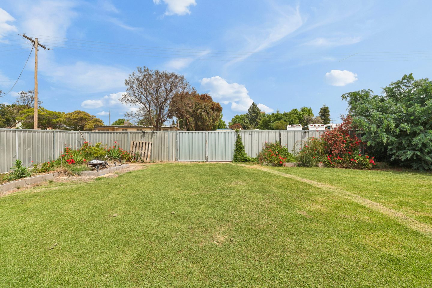 Lawn edged by garden beds and fencing